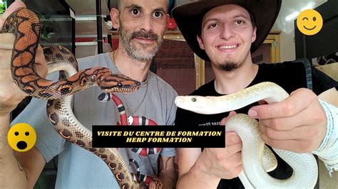 centre de formation reptile.